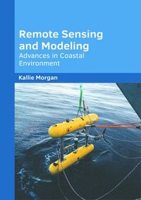 bokomslag Remote Sensing and Modeling: Advances in Coastal Environment