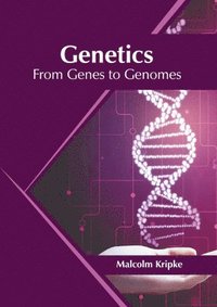 bokomslag Genetics: From Genes to Genomes