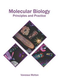 bokomslag Molecular Biology: Principles and Practice