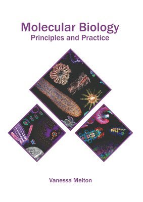 bokomslag Molecular Biology: Principles and Practice