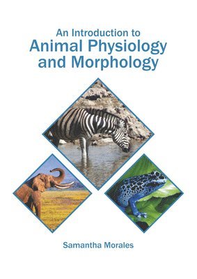 bokomslag An Introduction to Animal Physiology and Morphology