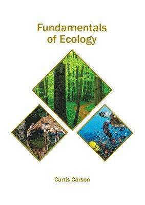 bokomslag Fundamentals of Ecology
