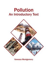 bokomslag Pollution: An Introductory Text