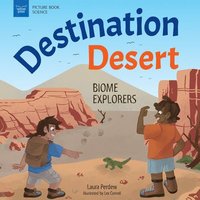 bokomslag DESTINATION DESERT