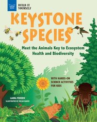 bokomslag Keystone Species: Meet the Animals Key to Ecosystem Health and Biodiversity with Hands-On Science Activities for Kids