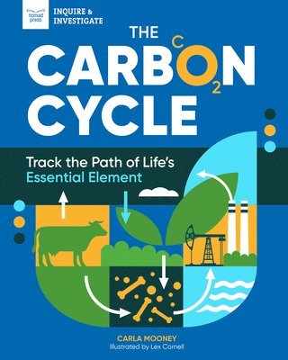 bokomslag The Carbon Cycle: Track the Path of Life's Essential Element