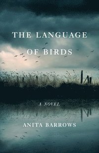 bokomslag The Language of Birds