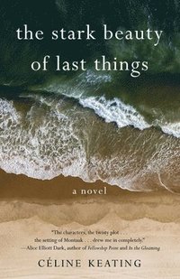 bokomslag Stark Beauty of Last Things