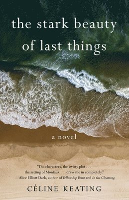 bokomslag Stark Beauty of Last Things