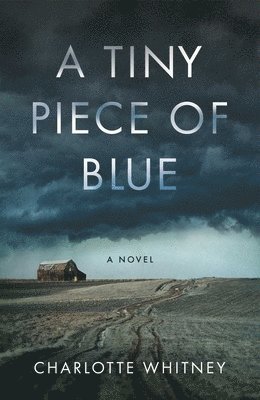 Charlotte Whitney - Tiny Piece of Blue, Häftad