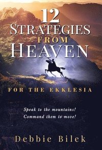 bokomslag 12 Strategies from Heaven: For the Ekklesia