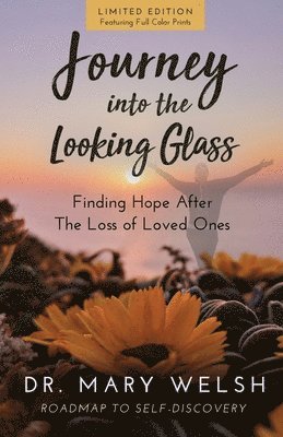 Mary E Welsh, Marvin Wilmes - Journey into the Looking Glass, Häftad