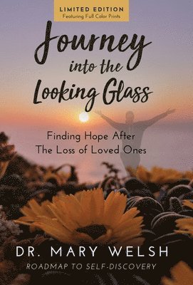 Mary E Welsh, Marvin Wilmes - Journey into the Looking Glass, Inbunden