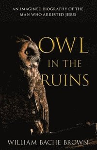 bokomslag Owl in the Ruins: An Imagined Biography of the Man Who Arrested Jesus