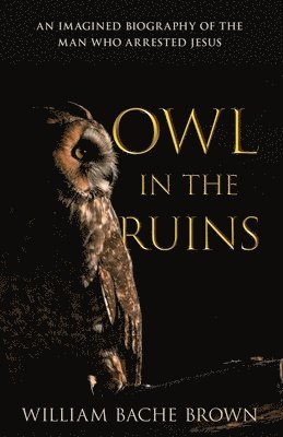 bokomslag Owl in the Ruins: An Imagined Biography of the Man Who Arrested Jesus