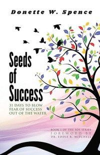 bokomslag Seeds of Success