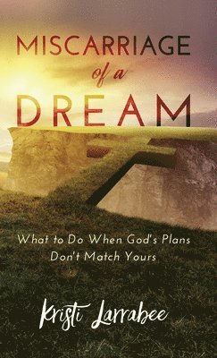 bokomslag Miscarriage of a Dream