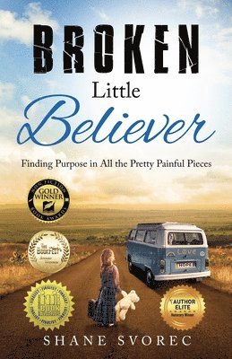 Shane Svorec - Broken Little Believer, Häftad