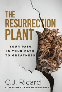 bokomslag Resurrection Plant