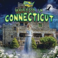 bokomslag Horror in Connecticut