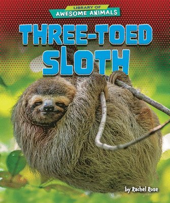 bokomslag Three-Toed Sloth