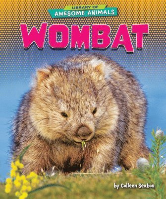 bokomslag Wombat