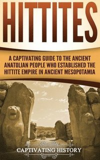 bokomslag Hittites