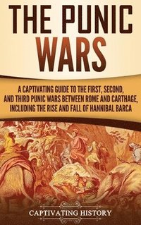 bokomslag The Punic Wars