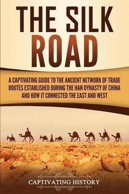 bokomslag Silk Road