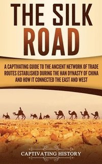 bokomslag Silk Road