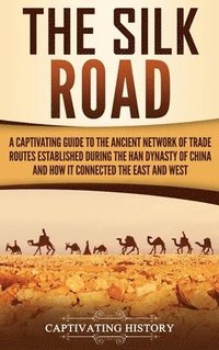 bokomslag The Silk Road
