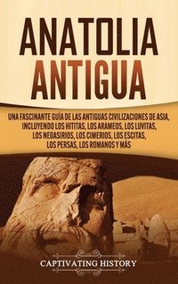 bokomslag Anatolia Antigua