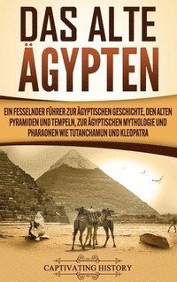 bokomslag Das Alte gypten