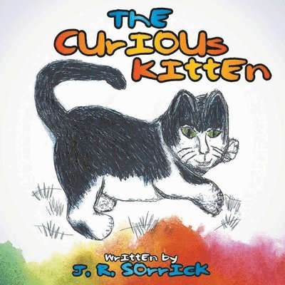 The Curious Kitten 1