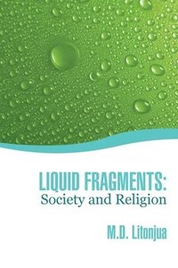 bokomslag Liquid Fragments: Society and Religion