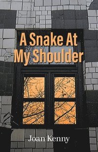 bokomslag Snake At My Shoulder