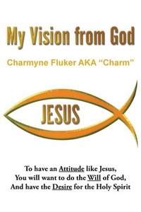bokomslag My Vision From God