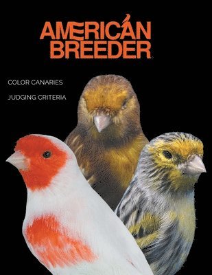 bokomslag American Breeder