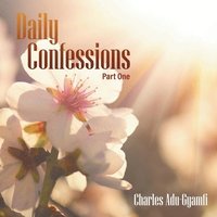 bokomslag Daily Confessions