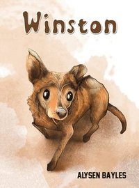 bokomslag Winston
