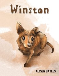 bokomslag Winston