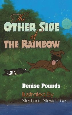 The Other Side of the Rainbow 1