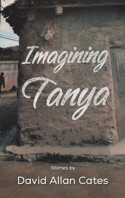 bokomslag Imagining Tanya