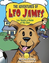 bokomslag Adventures of Leo James
