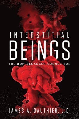 bokomslag Interstitial Beings