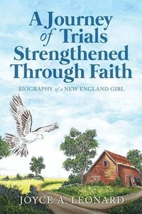 bokomslag Journey Of Trials Through Strengthened Faith
