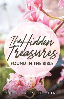 bokomslag The Hidden Treasures Hidden In The Bible