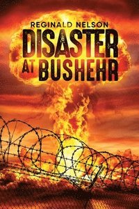 bokomslag Disaster at Bushehr