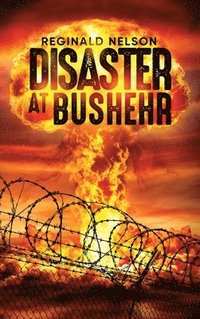 bokomslag Disaster at Bushehr