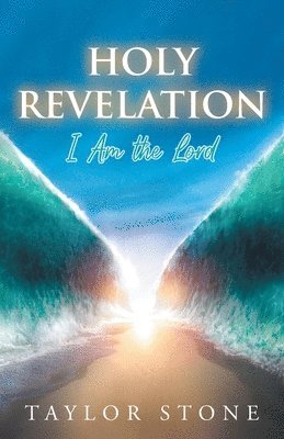Taylor Stone - Holy Revelation, Häftad